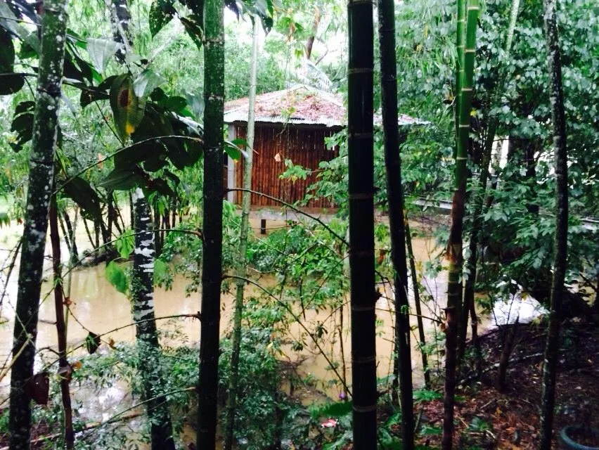 rio crecido