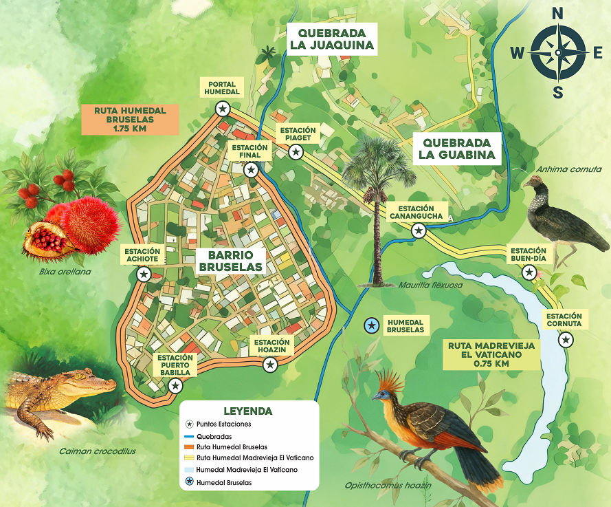 MAPA HUMEDAL MADREVIEJA